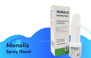 Monaliz